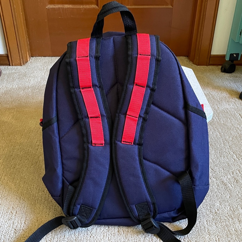 Helly Hansen Backpack - image 3